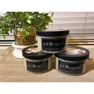 Gold Canyon Candle Beach Cabana 10 oz 3 pack bundle Highly Scented Hard to Find